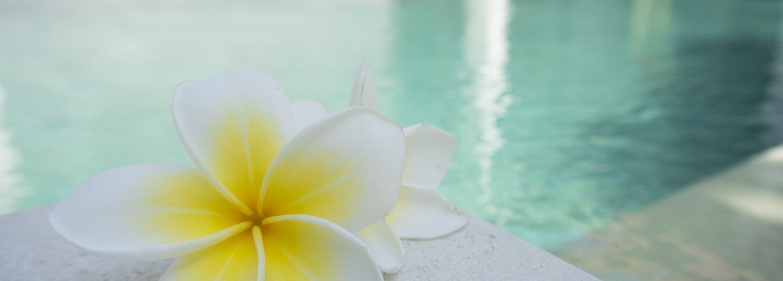 conseils-pour-un-voyage-de-noces-de-reves-a-bali