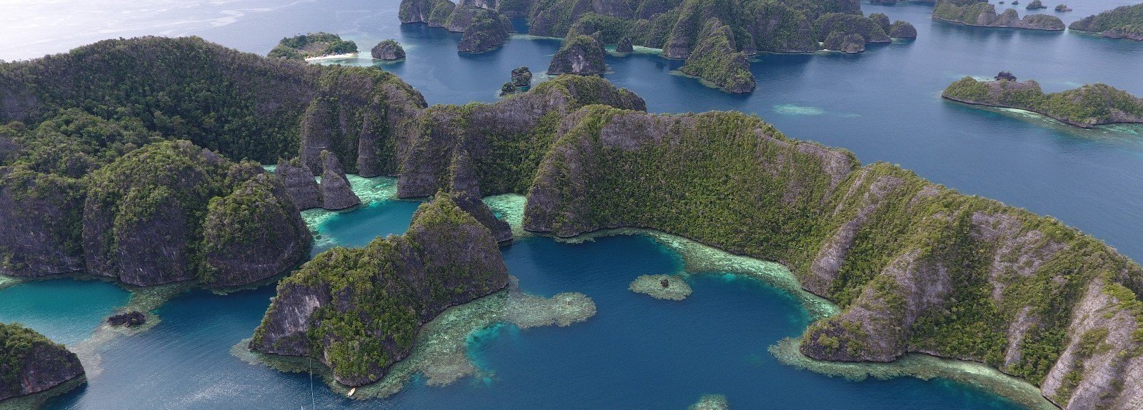 banner___croisiere-raja-ampat-indonesie-plongee-snorkeling__5dfa4a8dab463__80.jpg