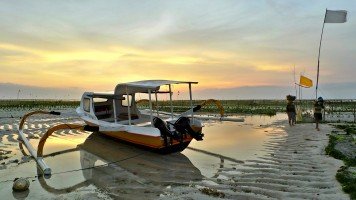 Nusa Lembongan, plage, algues, Bali