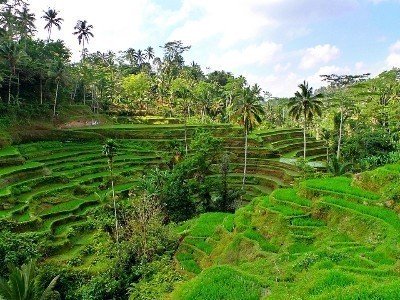Voyage de noce bali de luxe
