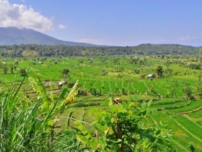 Voyage de noce bali de luxe