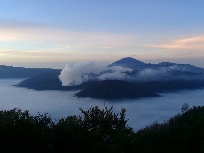 Circuit découverte de java, borneo et komodo.