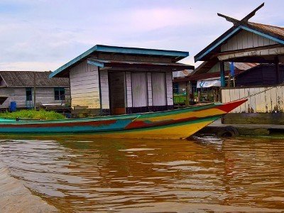 Circuit découverte de java, borneo et komodo.