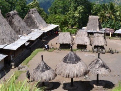 Circuit bali : découverte ile flores & komodo