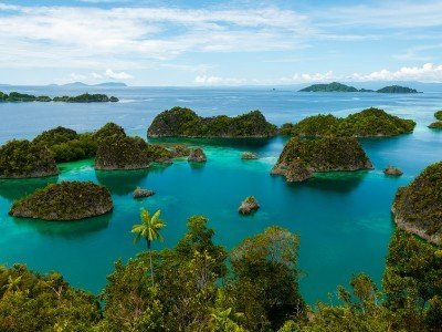 Croisière aux raja ampat - plongée ou snorkeling et découverte