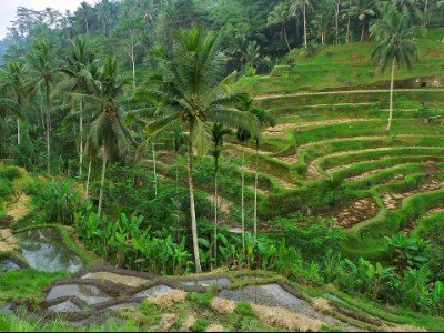 Votre voyage de noce bali