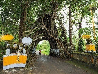 Circuit découverte des mystères de l'ouest de bali.