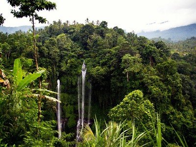 Circuit découverte de bali en famille