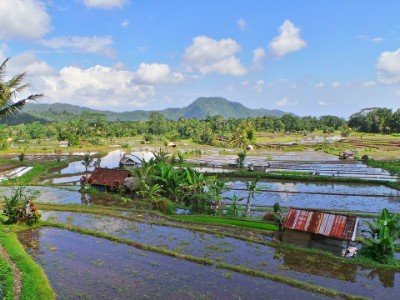 Circuit découverte de bali en famille