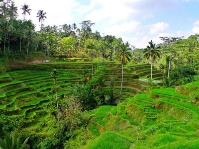 Circuit randonnée à la découverte de bali.